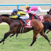 ヒメ日記 2025/04/23 05:52 投稿 あさひ SOAPLAND LOVE FACTORY