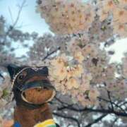 ヒメ日記 2025/05/04 07:14 投稿 あさひ SOAPLAND LOVE FACTORY