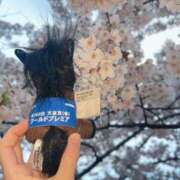 ヒメ日記 2025/05/04 12:05 投稿 あさひ SOAPLAND LOVE FACTORY