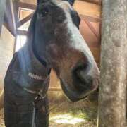 ヒメ日記 2025/05/07 05:31 投稿 あさひ SOAPLAND LOVE FACTORY