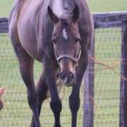 ヒメ日記 2025/05/07 23:22 投稿 あさひ SOAPLAND LOVE FACTORY