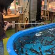 ヒメ日記 2025/05/08 06:02 投稿 あさひ SOAPLAND LOVE FACTORY