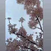 ヒメ日記 2025/05/10 00:22 投稿 あさひ SOAPLAND LOVE FACTORY