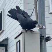 ヒメ日記 2025/05/10 23:52 投稿 あさひ SOAPLAND LOVE FACTORY