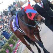 ヒメ日記 2025/05/13 05:32 投稿 あさひ SOAPLAND LOVE FACTORY