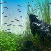 ヒメ日記 2025/05/14 02:22 投稿 あさひ SOAPLAND LOVE FACTORY