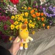 ヒメ日記 2025/05/14 12:52 投稿 あさひ SOAPLAND LOVE FACTORY