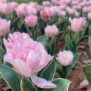 ヒメ日記 2025/05/15 07:28 投稿 あさひ SOAPLAND LOVE FACTORY