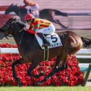 ヒメ日記 2025/05/15 07:34 投稿 あさひ SOAPLAND LOVE FACTORY