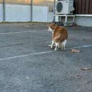 ヒメ日記 2025/05/16 15:43 投稿 あさひ SOAPLAND LOVE FACTORY