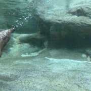 ヒメ日記 2025/05/16 17:23 投稿 あさひ SOAPLAND LOVE FACTORY