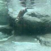 ヒメ日記 2025/05/16 18:22 投稿 あさひ SOAPLAND LOVE FACTORY