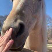 ヒメ日記 2025/05/26 06:32 投稿 あさひ SOAPLAND LOVE FACTORY