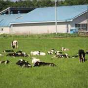 ヒメ日記 2025/05/27 08:58 投稿 あさひ SOAPLAND LOVE FACTORY