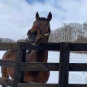 ヒメ日記 2025/05/29 13:01 投稿 あさひ SOAPLAND LOVE FACTORY