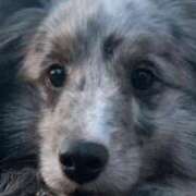 ヒメ日記 2025/05/31 09:24 投稿 あさひ SOAPLAND LOVE FACTORY