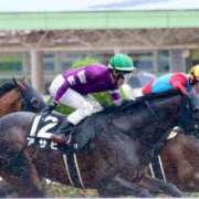 ヒメ日記 2025/06/01 04:12 投稿 あさひ SOAPLAND LOVE FACTORY