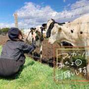 ヒメ日記 2025/06/01 21:52 投稿 あさひ SOAPLAND LOVE FACTORY