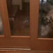 ヒメ日記 2025/06/02 12:07 投稿 あさひ SOAPLAND LOVE FACTORY