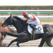 ヒメ日記 2025/06/03 06:32 投稿 あさひ SOAPLAND LOVE FACTORY