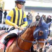 ヒメ日記 2025/06/06 02:12 投稿 あさひ SOAPLAND LOVE FACTORY