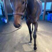 ヒメ日記 2025/06/06 03:22 投稿 あさひ SOAPLAND LOVE FACTORY