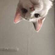 ヒメ日記 2025/06/06 08:16 投稿 あさひ SOAPLAND LOVE FACTORY