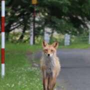 ヒメ日記 2025/06/08 22:20 投稿 あさひ SOAPLAND LOVE FACTORY