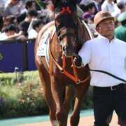 ヒメ日記 2025/06/10 03:32 投稿 あさひ SOAPLAND LOVE FACTORY