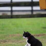 ヒメ日記 2025/06/10 05:01 投稿 あさひ SOAPLAND LOVE FACTORY