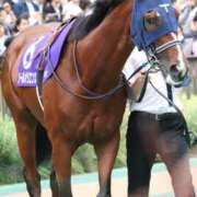 ヒメ日記 2025/06/10 15:45 投稿 あさひ SOAPLAND LOVE FACTORY