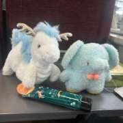 ヒメ日記 2025/06/10 19:03 投稿 あさひ SOAPLAND LOVE FACTORY