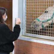 ヒメ日記 2025/06/12 09:42 投稿 あさひ SOAPLAND LOVE FACTORY