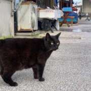 ヒメ日記 2025/06/13 07:15 投稿 あさひ SOAPLAND LOVE FACTORY