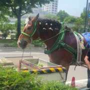 ヒメ日記 2025/06/13 14:02 投稿 あさひ SOAPLAND LOVE FACTORY