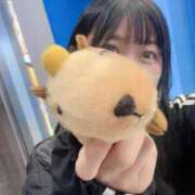 ヒメ日記 2025/06/15 09:25 投稿 あさひ SOAPLAND LOVE FACTORY