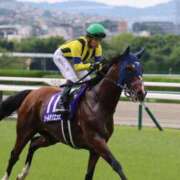 ヒメ日記 2025/06/15 19:17 投稿 あさひ SOAPLAND LOVE FACTORY