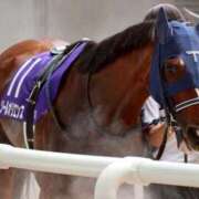 ヒメ日記 2025/06/15 19:42 投稿 あさひ SOAPLAND LOVE FACTORY