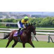 ヒメ日記 2025/06/16 07:52 投稿 あさひ SOAPLAND LOVE FACTORY