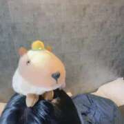 ヒメ日記 2025/06/16 11:47 投稿 あさひ SOAPLAND LOVE FACTORY