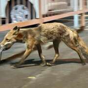 ヒメ日記 2025/06/17 16:58 投稿 あさひ SOAPLAND LOVE FACTORY