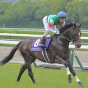 ヒメ日記 2025/06/17 23:12 投稿 あさひ SOAPLAND LOVE FACTORY