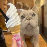 ヒメ日記 2025/06/18 17:02 投稿 あさひ SOAPLAND LOVE FACTORY