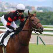 ヒメ日記 2025/06/18 22:32 投稿 あさひ SOAPLAND LOVE FACTORY