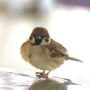 ヒメ日記 2025/06/19 07:55 投稿 あさひ SOAPLAND LOVE FACTORY