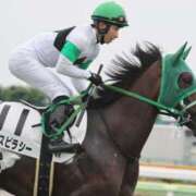 ヒメ日記 2025/06/21 22:42 投稿 あさひ SOAPLAND LOVE FACTORY