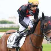 ヒメ日記 2025/06/23 20:42 投稿 あさひ SOAPLAND LOVE FACTORY