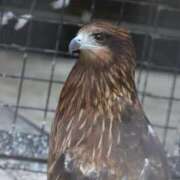 ヒメ日記 2025/06/23 22:42 投稿 あさひ SOAPLAND LOVE FACTORY