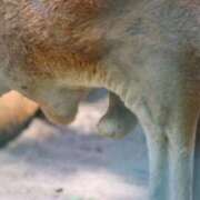 ヒメ日記 2025/06/24 23:50 投稿 あさひ SOAPLAND LOVE FACTORY