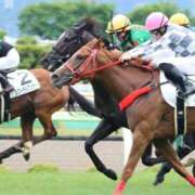 ヒメ日記 2025/06/28 00:52 投稿 あさひ SOAPLAND LOVE FACTORY